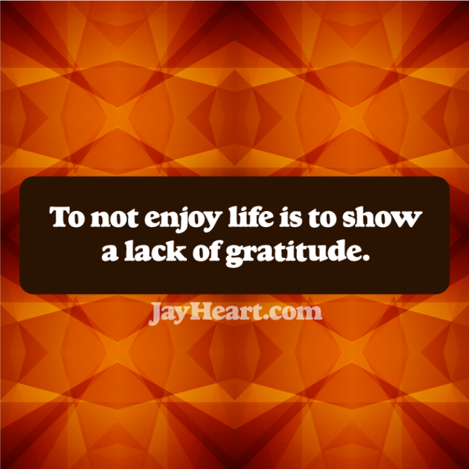 To not enjoy life is to show a lack of gratitude.
